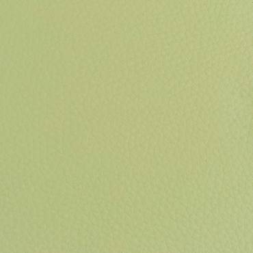 Δερματίνη BO3-XR-618