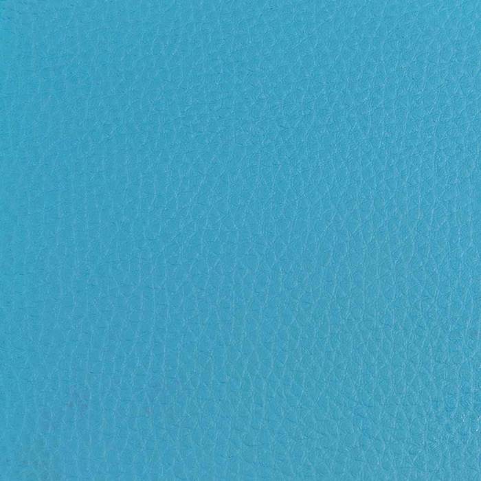 Dermatini BO3-XR-951