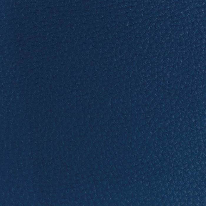 Dermatini BO3-XR-137