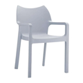 DIVA SILVER GREY POLuThRONA POL/NIOu