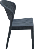 DAYTONA DARK GREY KAREKLA POL/NIOu